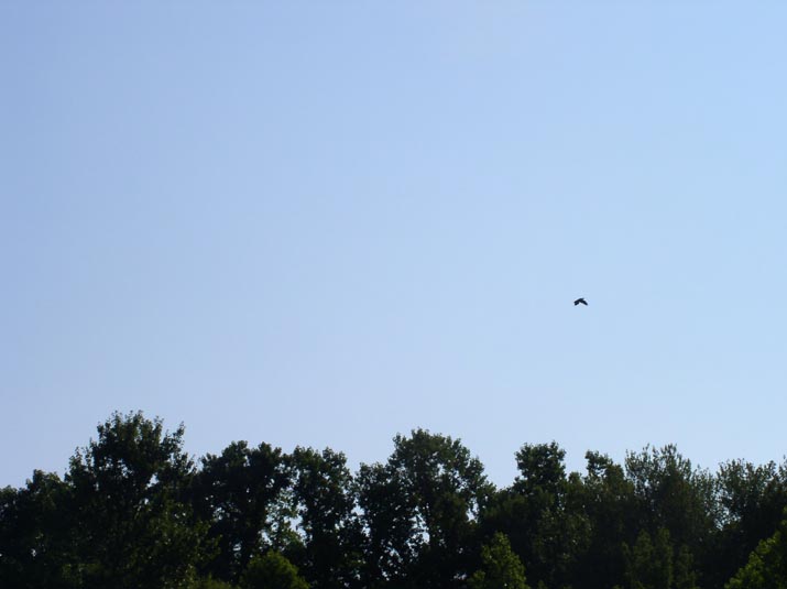 P1010084_1