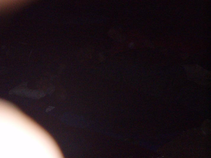P8180391
