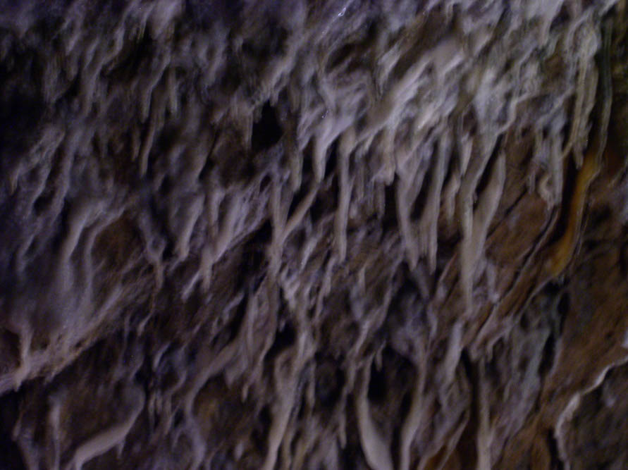 P1010219