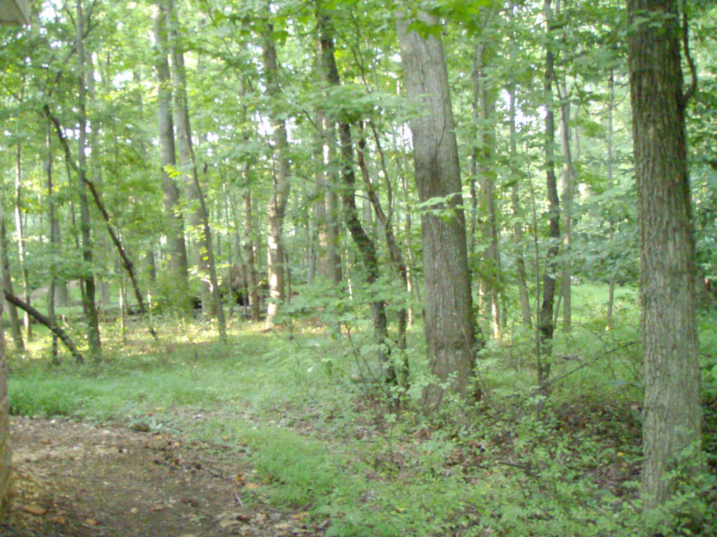 P7140802