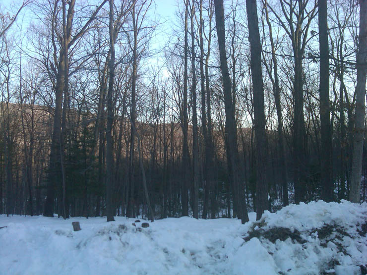 IMG00117-20100221-0759