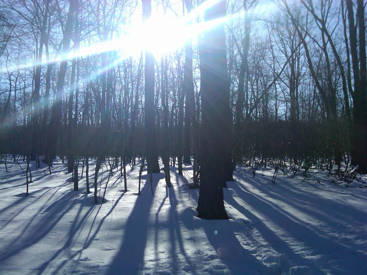 IMG00122-20100221-0907