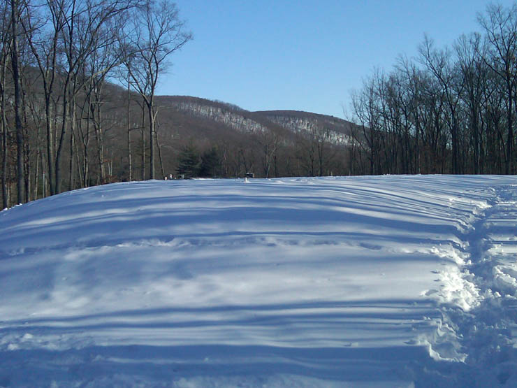 IMG00123-20100221-0908