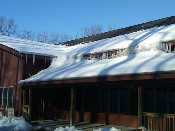 IMG00124-20100221-0911