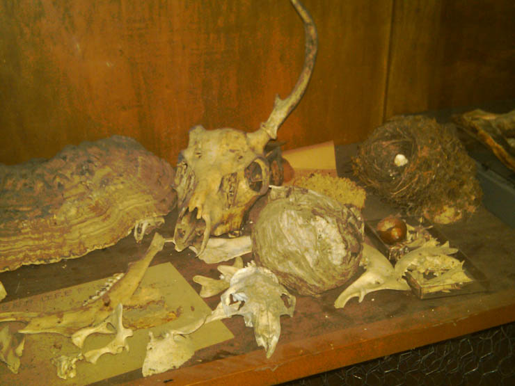 IMG00161-20100313-1112