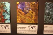 IMG_1925