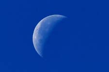 IMG_9236c