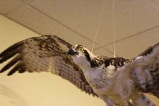 P1010090_IMG_2563 (1)