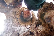 P1010090_IMG_2563 (2)