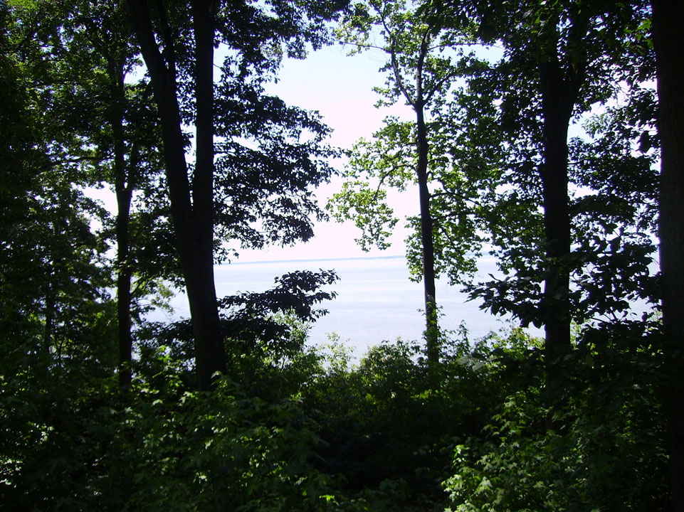 Camp