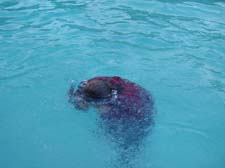 Camp Rodney 2011 (39)