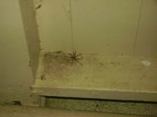 Camp Rodney 2011 (81)