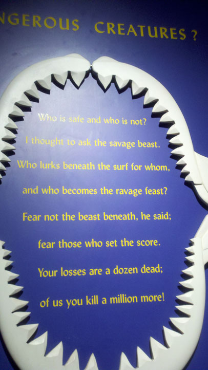 2011-08-12_14-11-29_528