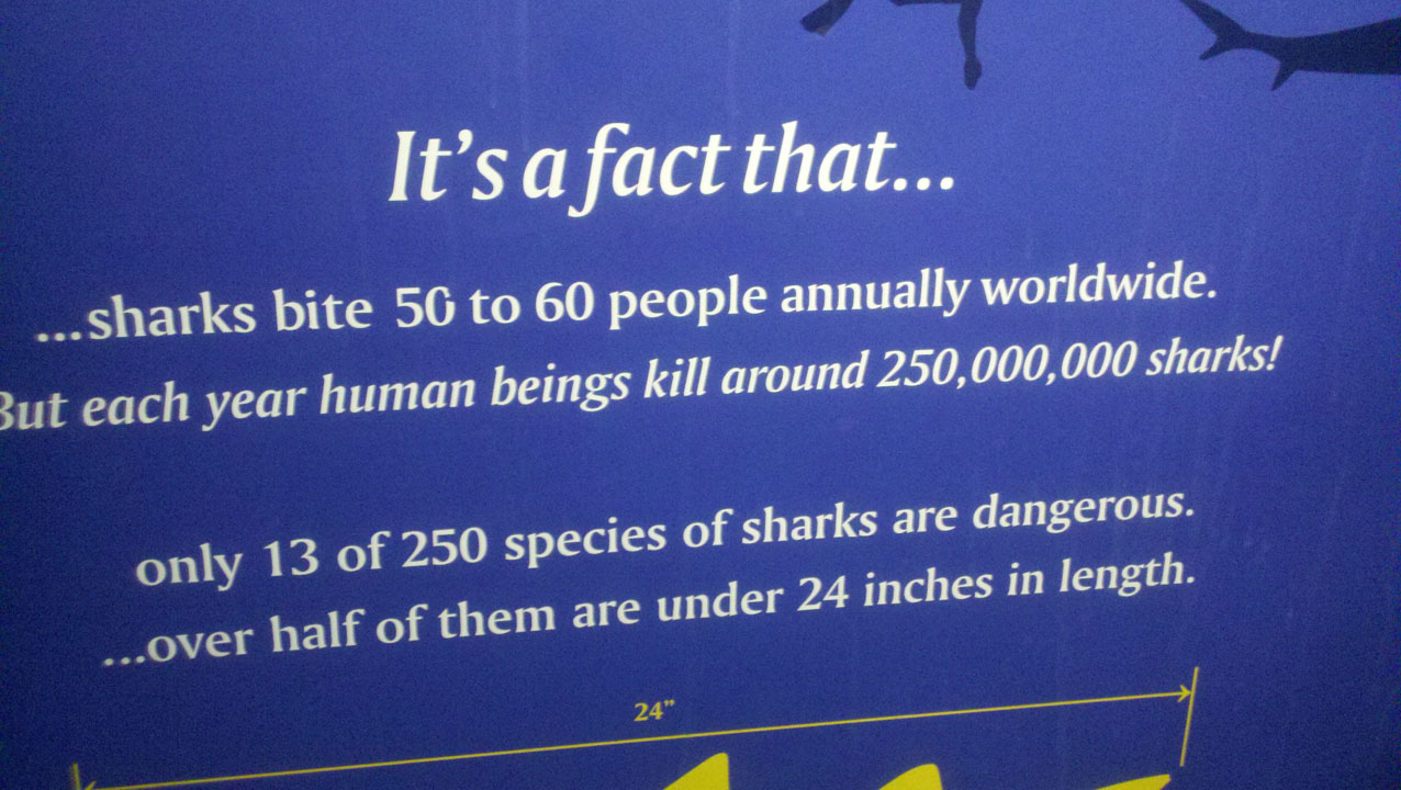 2011-08-12_14-12-27_565