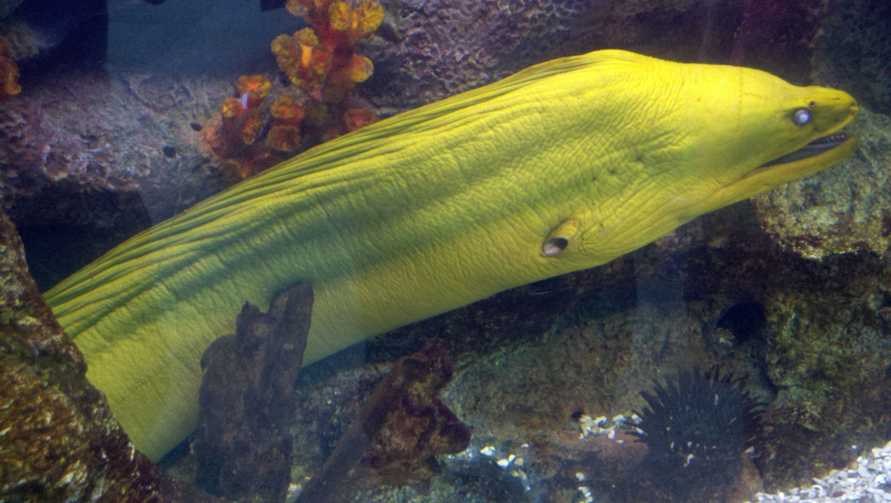 2011-08-12_14-21-07_150