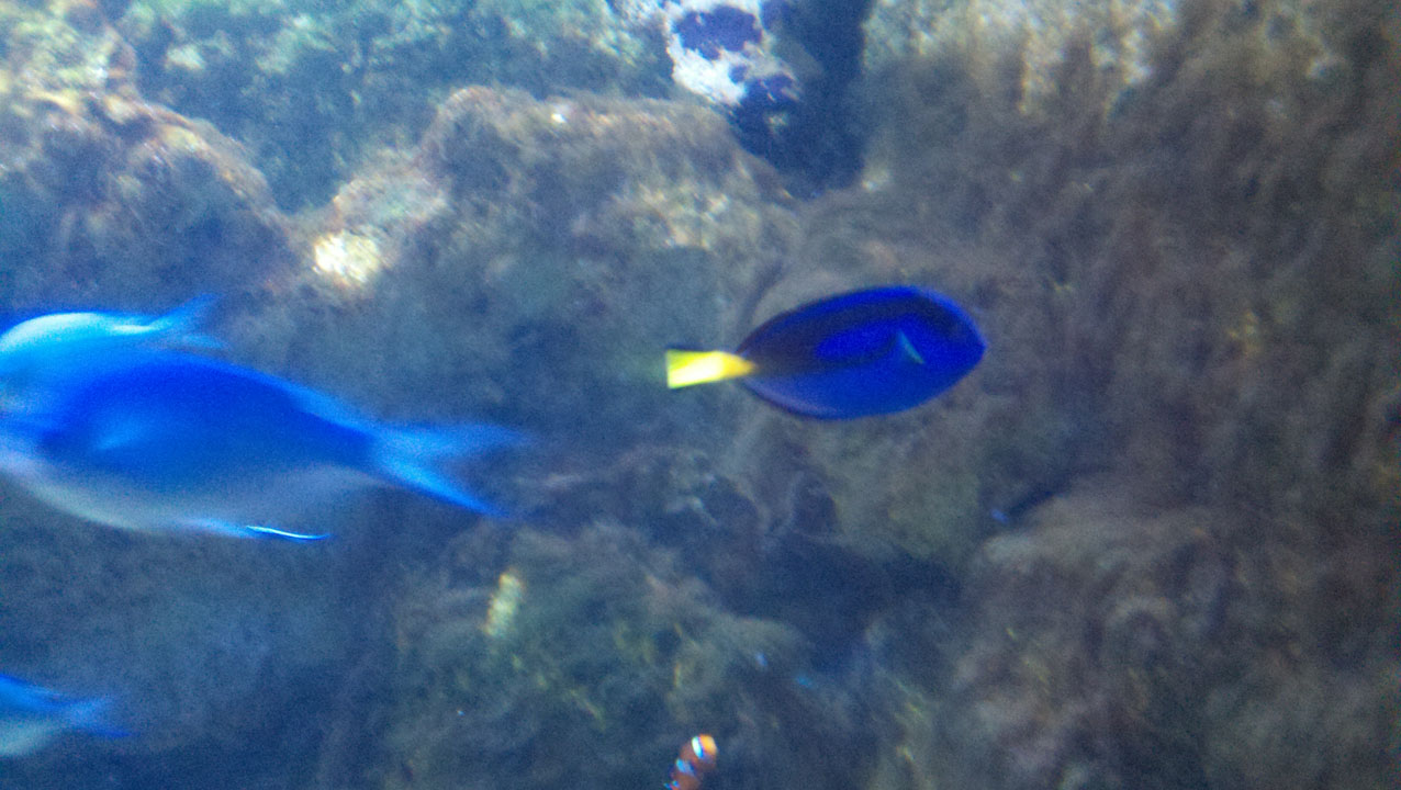 2011-08-12_14-21-45_685