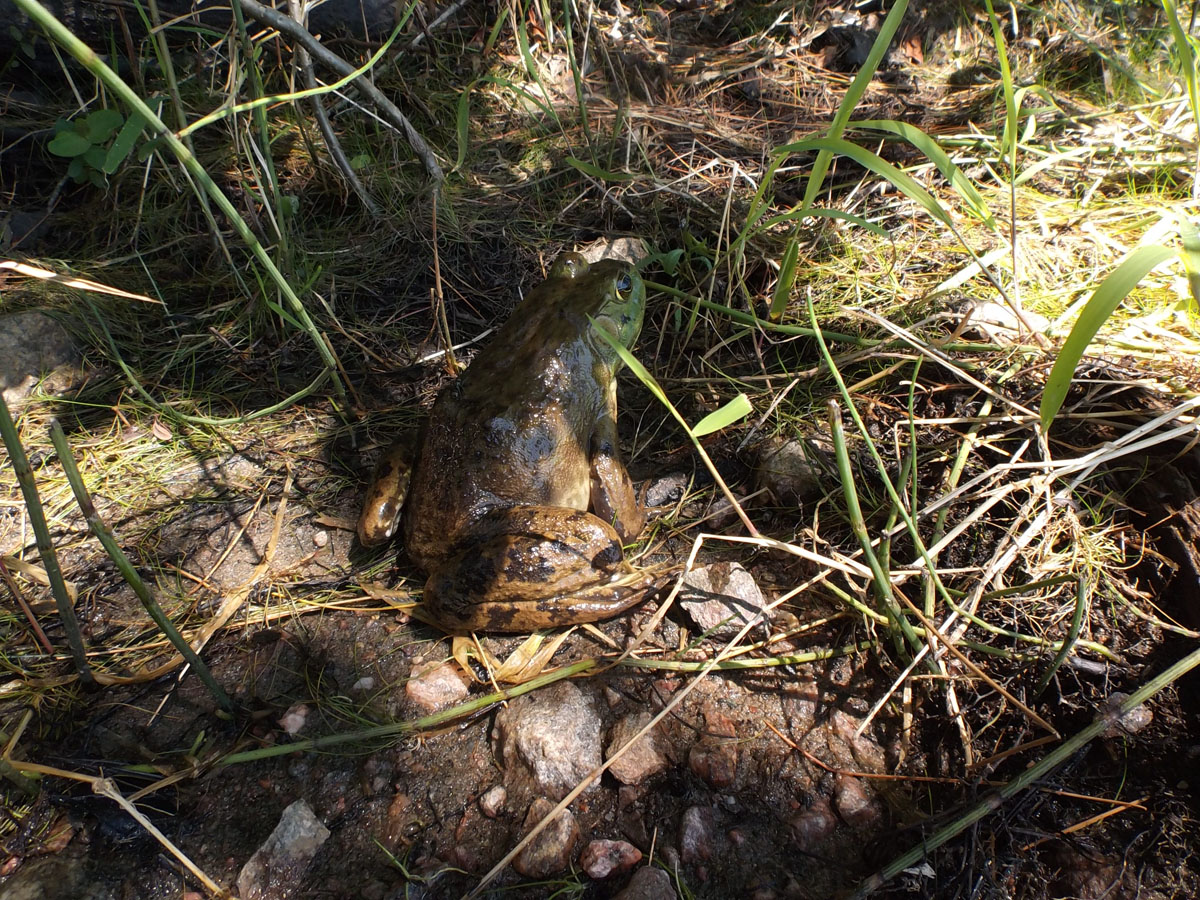 DSCF0167